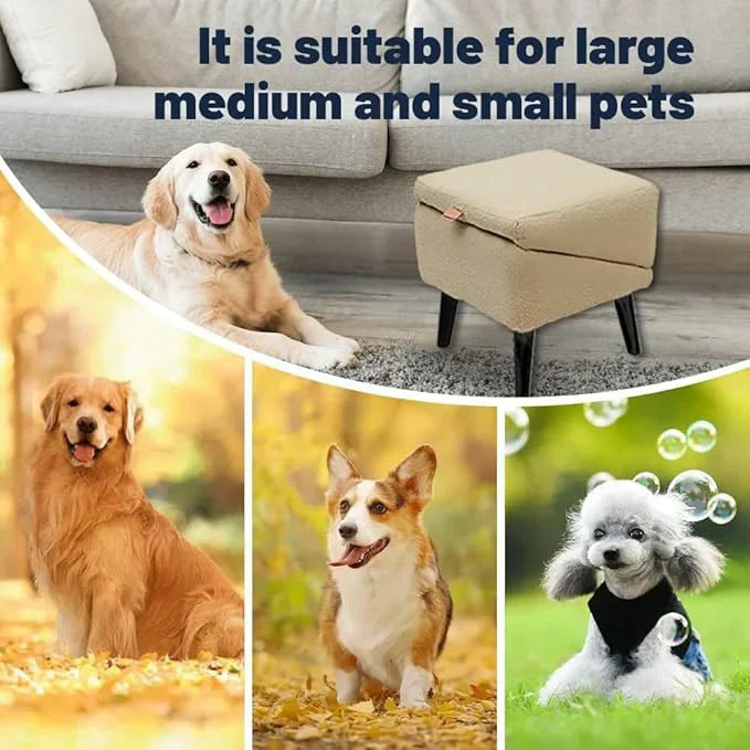 🐾 Ramp or Steps? One Smart Solution for Your Pet!